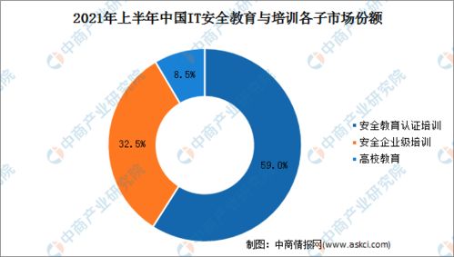 2021年上半年中國網(wǎng)絡安全服務廠商收入規(guī)模高漲110%，網(wǎng)絡與信息安全軟件開發(fā)引領增長